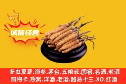 黄冈回收冬虫夏草